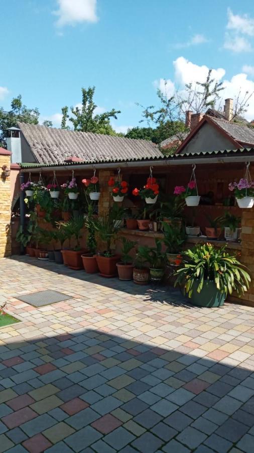 Guest House Zhanna Beregovo Exterior foto