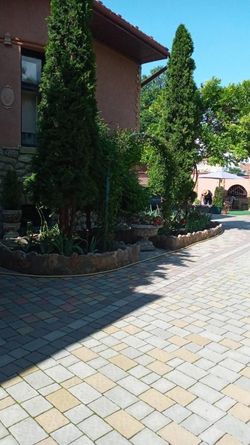 Guest House Zhanna Beregovo Exterior foto